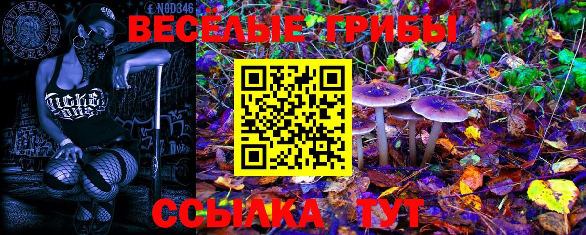 Псилоцибиновые грибы мухоморы Губаха